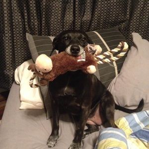 Meet your Posher, Pat